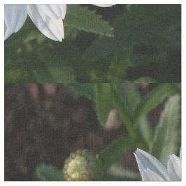 白デイジー布 ファブリック