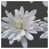 白デイジー模様の白い花 ファブリック (クローズアップ)