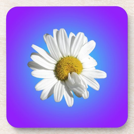 白デイジー花フローラ紫ブルーグラデーション コースター (正面)