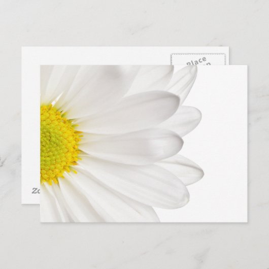 白デイジー花背カスタマイズデイジー ポストカード (正面/裏面)