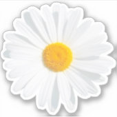 白デイジー シール (正面)
