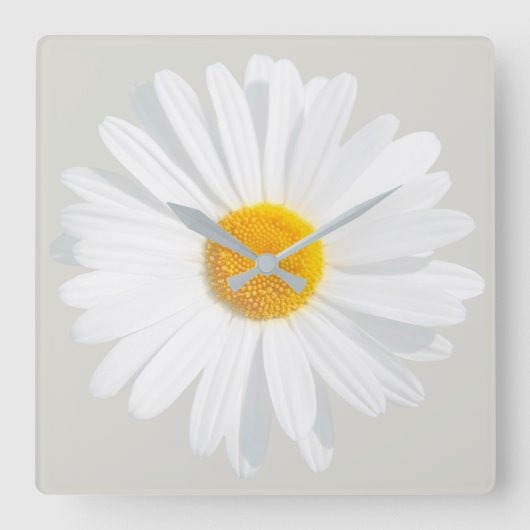 白デイジー スクエア壁時計 (正面)