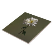 白デイジー タイル (側面)