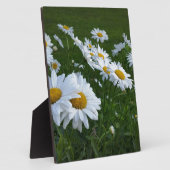 白デイジー フォトプラーク (側面)