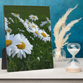 白デイジー フォトプラーク (側面)