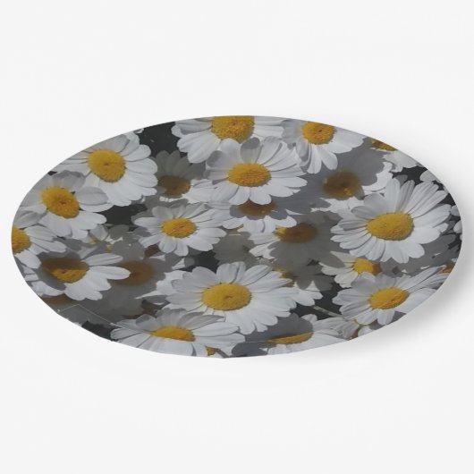 白デイジー ペーパープレート (アングル)
