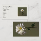 白デイジー 名刺 (正面/裏面)