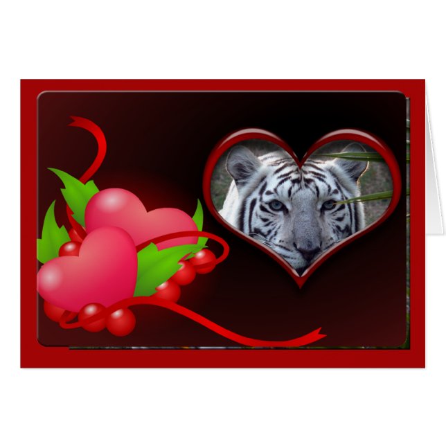 白トラ00102 65x45 (正面横)