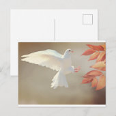 白ハト ポストカード (正面/裏面)