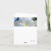 白ハワイアン花折りグリーティングカード カード (裏面)