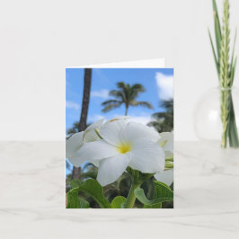 白ハワイアン花折りグリーティングカード カード