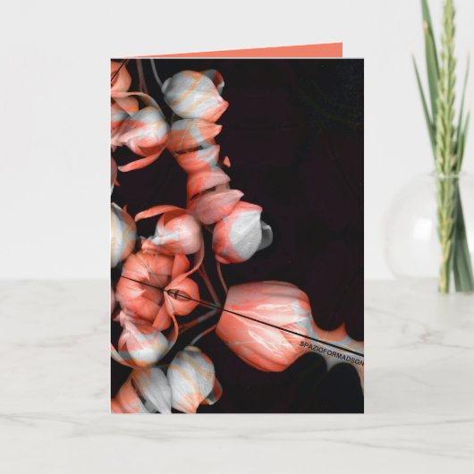 "白ハートの黒から太陽" & Indifference カード (正面)