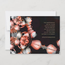 "白ハートの黒から太陽" & Indifference ポストカード