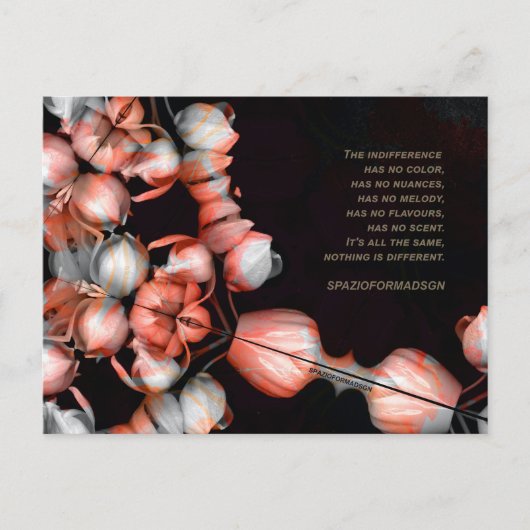 "白ハートの黒から太陽" & Indifference ポストカード (正面)
