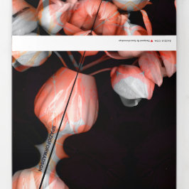 "白ハートの黒から太陽" & Silence 三つ折りクリスマスカード