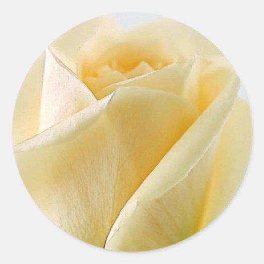 白バラのステッカーと封筒用シール ラウンドシール (正面)