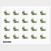 白バラのステッカー スクエアシール (シート)