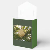 白バラのリボンの贈り物 フェイバーボックス (オープン)