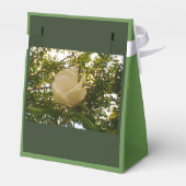 白バラのリボンの贈り物 フェイバーボックス (裏面サイド)