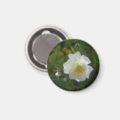 白バラの妖精 マグネット (正面/裏面)