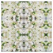 白バラの愛 ファブリック (見本)