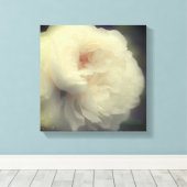 白バラの花の開花 キャンバスプリント (インサイチュ (ウッドフロア))