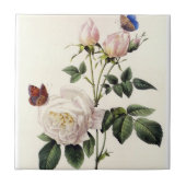 白バラの花ピエール・ジョセフ・レッドテ タイル (正面)
