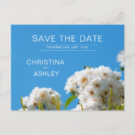 白バラフローラ 案内ポストカード