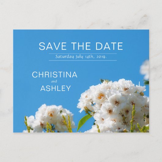 白バラフローラ 案内ポストカード (正面)