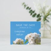 白バラフローラ 案内ポストカード (スタンド正面)