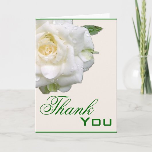 白バラ花ありがとうグリーティングカード サンキューカード (正面)
