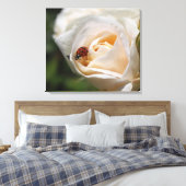 白バラ花とレディーバグ。フローラ自然 キャンバスプリント (インサイチュ (寝室))