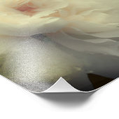 白バラ花イン開花8 x 8 フォトプリント            (角)