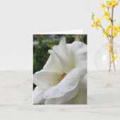 白バラ花カード カード (黄色い花)