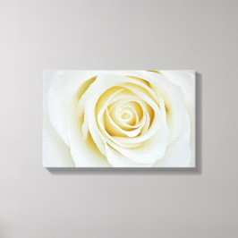 白バラ花キャンバス印刷 キャンバスプリント