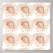 白バラ花 ポスター (正面)