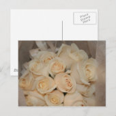 白バラ葉書 ポストカード (正面/裏面)