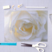 白バラ軟焦点 薄葉紙 (クラフト)