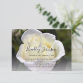 白バラ追悼式サンキューカード サンキューカード (スタンド正面)