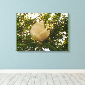 白バラ キャンバスプリント (インサイチュ (ウッドフロア))