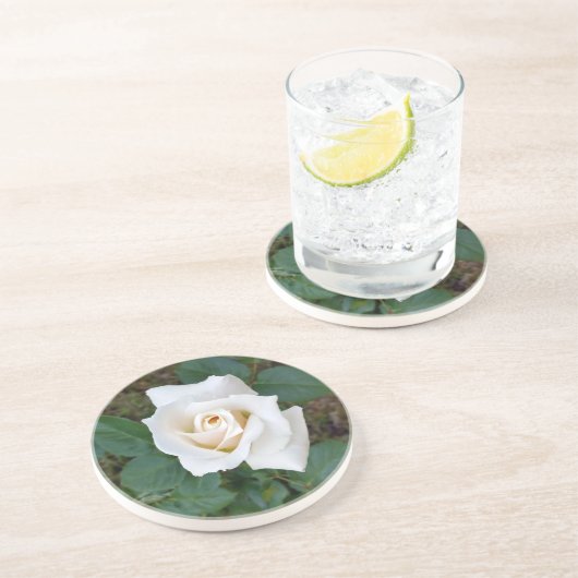 白バラ コースター (側面)