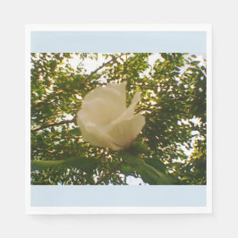 白バラ スタンダードランチョンナプキン