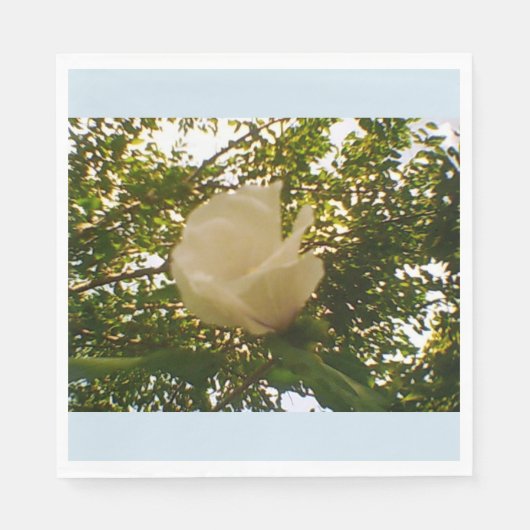 白バラ スタンダードランチョンナプキン (正面)