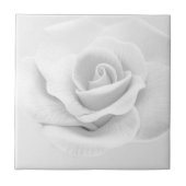 白バラ タイル (正面)