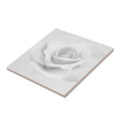 白バラ タイル (側面)