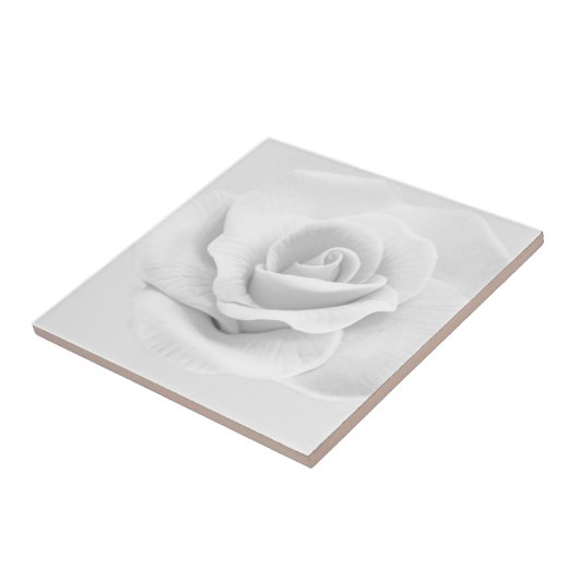 白バラ タイル (側面)