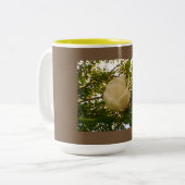 白バラ ツートーンマグカップ (正面左)