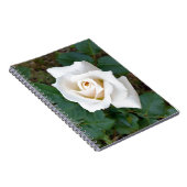 白バラ ノートブック (右側)