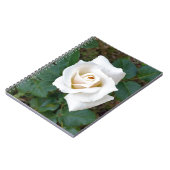 白バラ ノートブック (左側)