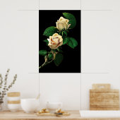 白バラ ポスター (キッチン)